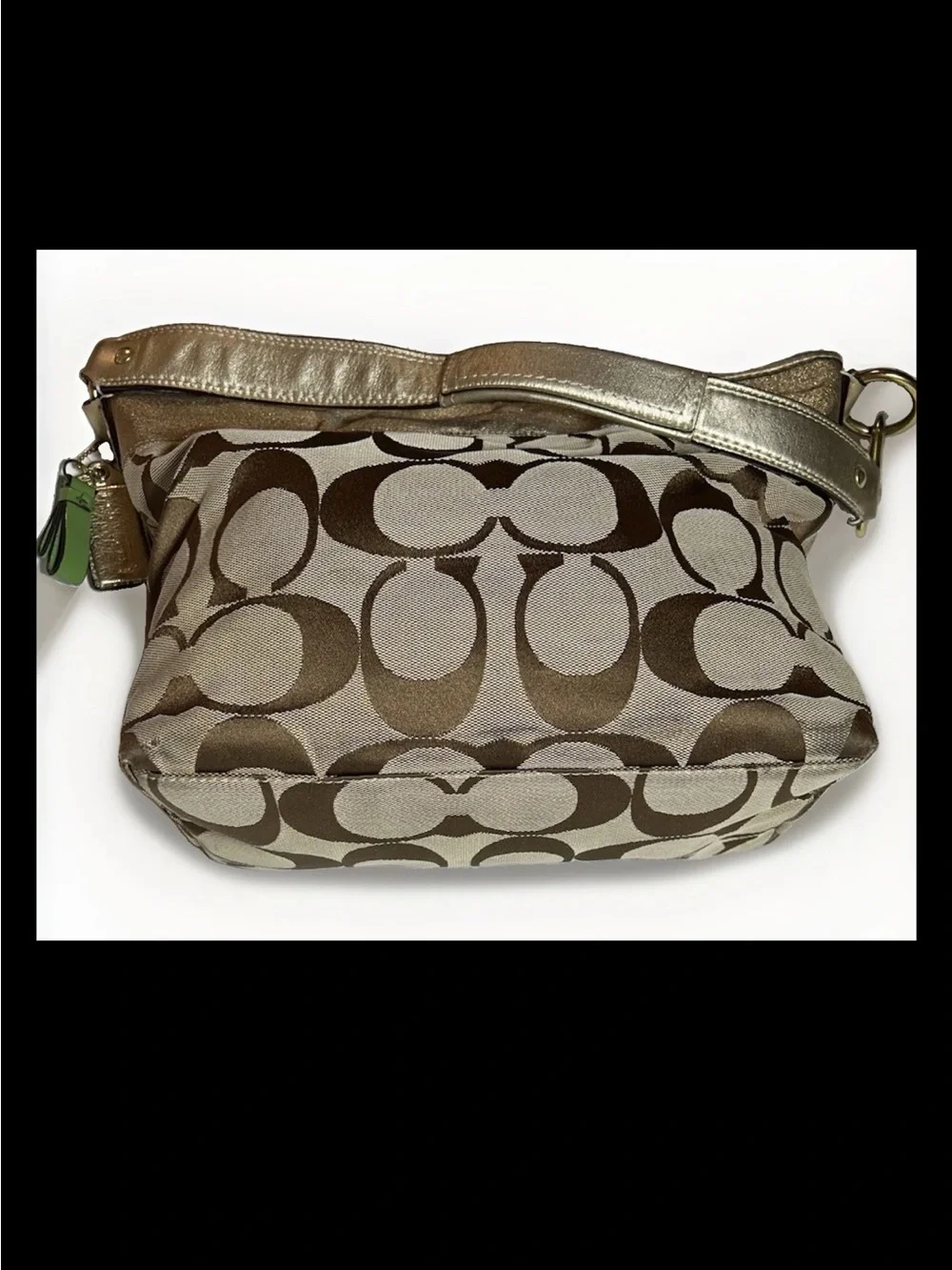 Coach 2008 Limited Edition Chrysanthemum Appliqué Shoulder Bag, Style: (#12200)